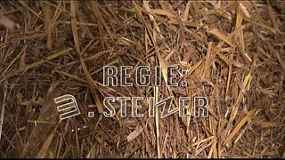 Волгыдо сеннен