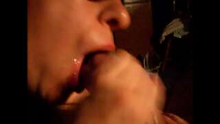 Pajeando en zuigen op de kop van de haan