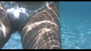 Porto da barra salvador bahia d, su içinde seksi hatun