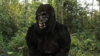 Wa Dong abramo#039;s 40oz Rebondisman!