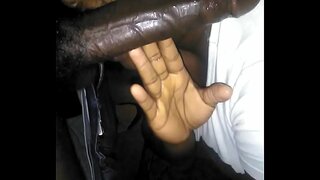 Tengah hari kepala dari sofa