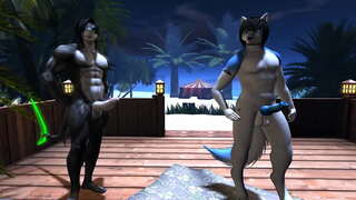 Die Middernag Vergadering 2 ( Harige / Yiff )