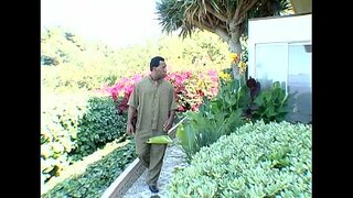 Metro - Must Lihalik Coeds 13 - Full movie