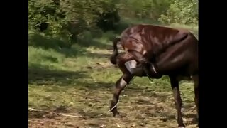 Секс втроем нарын Тунде