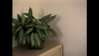 Ɲ�杆收购-先生偷窥者最恶劣的Vol7-2场景